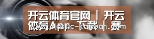 公司动态