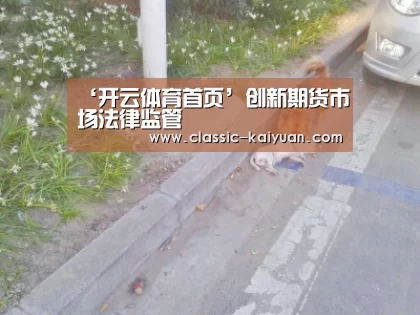开元棋牌app