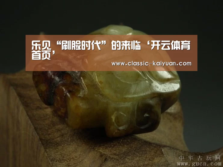 乐见“刷脸时代”的来临‘开云体育首页’(图2) 开元棋牌官方下载